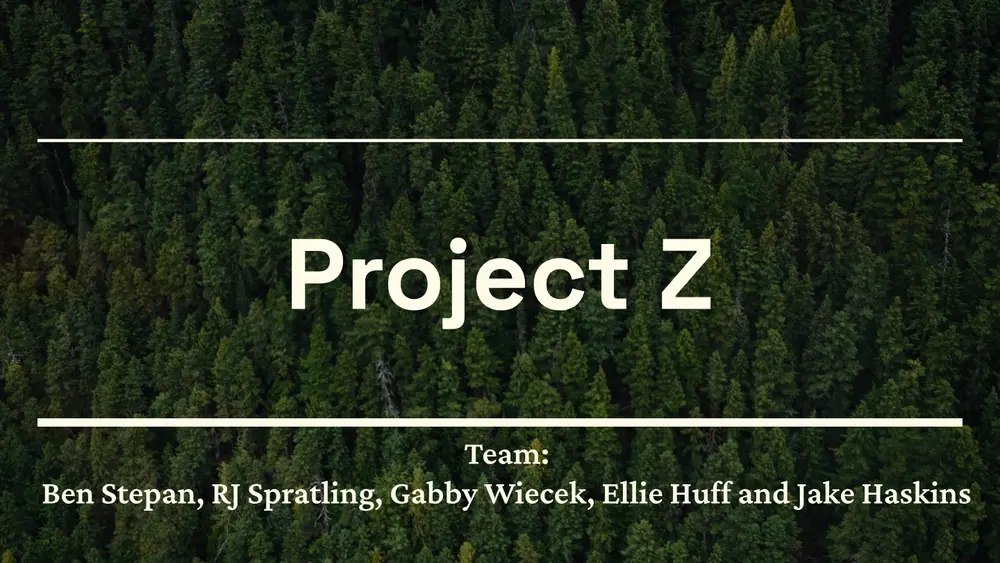 Project Z